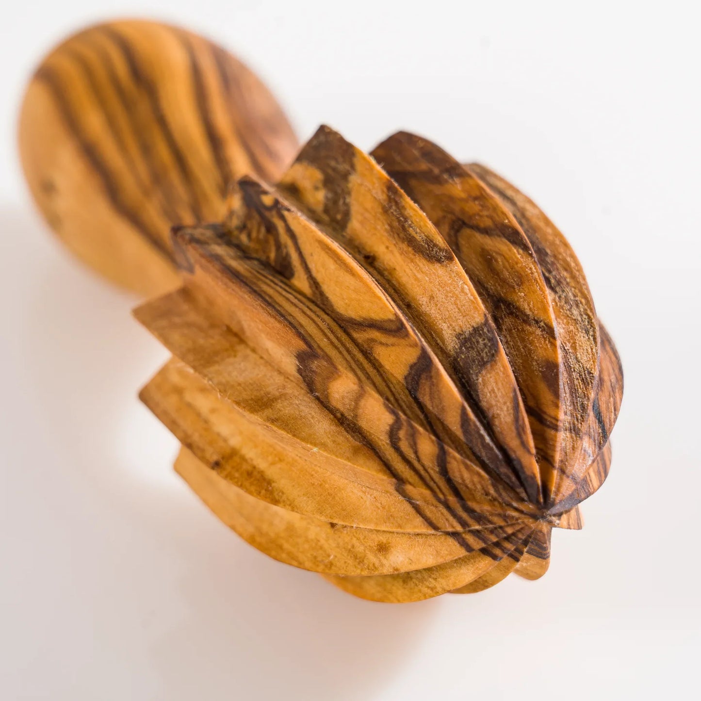 Pack Barbecue Barbois